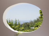 Vista del jardín a través de ventana ovalada - foto de stock