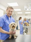 Veterinarian examining dog in veterinary surgery — Stock Photo