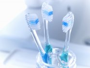 Закрытие зубных щеток в держателе — стоковое фото