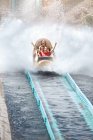Enthusiastic friends cheering and riding water log amusement park ride — Stock Photo