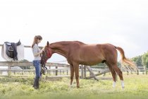 Mulher preparando cavalo para cavalgar em pasto rural — Fotografia de Stock