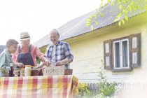 Бабушка и внук продают мед — стоковое фото