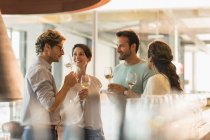 Amici degustazione vini bianchi in cantina sala degustazione — Foto stock