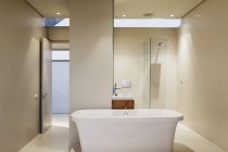 Ванна, раковина і душ в сучасному інтер'єрі ванної кімнати — стокове фото