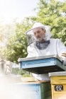 Пчеловод в защитной одежде, снимающий крышку улья — стоковое фото