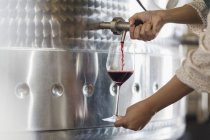 Vintner barile degustazione vino rosso dalla vasca in acciaio inox — Foto stock