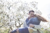 Hombre levantando mujer bajo el árbol con flores blancas - foto de stock