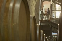 Vintners talking on platform in winery cellar — Stock Photo