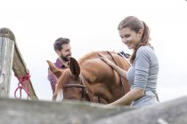 Couple avec cheval au pâturage — Photo de stock