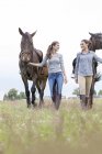 Femmes promenant des chevaux dans les champs ruraux — Photo de stock