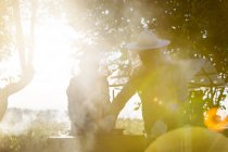 Apicoltori in tuta protettiva esaminando orticaria soleggiata — Foto stock