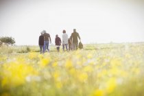 Семья из нескольких поколений гуляет по солнечному лугу с полевыми цветами — стоковое фото