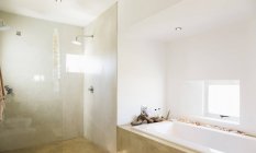 Сучасна ванна кімната в приміщенні вдень — стокове фото
