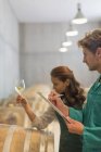 Vintners examinando vino blanco en bodega - foto de stock