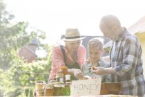 Abuelos y nieto vendiendo miel en el puesto del mercado de agricultores - foto de stock