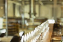 Copos de vinho em uma fileira no balcão na sala de degustação da adega — Fotografia de Stock