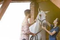Paar streichelt Pferd im ländlichen Stall — Stockfoto