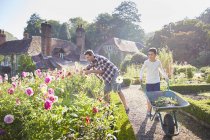 Father and son gardening in sunny flower garden — Stock Photo