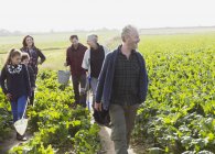 Mehrgenerationenfamilie spaziert durch sonnigen Gemüsegarten — Stockfoto