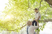 Дід допомагає онуку на гілці дерева — стокове фото