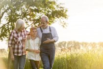 Großelternbauern und Enkel zu Fuß auf dem ländlichen Weizenfeld — Stockfoto