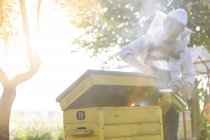 Beekeeper in protective suit using smoker on beehive — Stock Photo