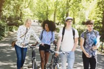 Friends walking with bicycles in park — Stock Photo