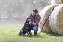 Homem de estimação cão ao lado de fardos de feno rolados — Fotografia de Stock