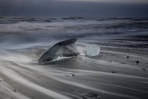 Ice on stormy cold ocean beach, Iceland — Stock Photo