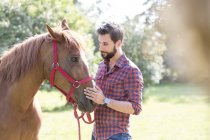 Человек гладит лошадиную морду — стоковое фото