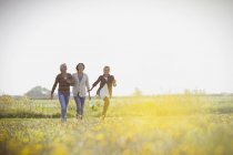 Mehrgenerationenfrauen spazieren auf sonniger Wiese — Stockfoto