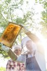 Apicultores em vestuário de proteção examinando abelhas em favo de mel — Fotografia de Stock