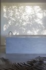 Tapis imprimé baignoire et zèbre dans la salle de bain moderne — Photo de stock