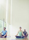Клас йоги, сидячи в лотоса — стокове фото