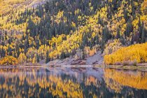 Reflejo de árboles amarillos de otoño en la ladera de un lago tranquilo, Crystal Lake, Ouray, Colorado, Estados Unidos - foto de stock