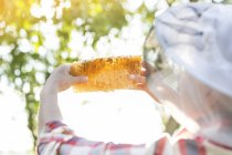 Apicultor examinando favo de mel contra árvore — Fotografia de Stock