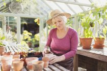 Senior woman potting plants in greenhouse — Stock Photo
