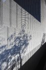 Plants casting shadow on textured wall of modern building — Stock Photo