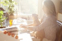 Жінка з собакою на колінах друкує на клавіатурі в сонячному домашньому офісі — стокове фото