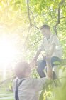 Grandfather helping grandson off sunny tree branch — Stock Photo