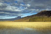 Scenic view sunny marsh and hills, Loch Carron, Wester Ross, Scotland — Stock Photo