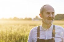 Fermez un agriculteur âgé dans un champ de blé rural ensoleillé — Photo de stock
