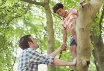 Батько допомагає синові лазити по дереву — стокове фото