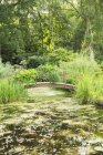 Passerelle en bois sur étang — Photo de stock