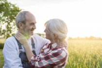 Cariñosa pareja de ancianos abrazándose en el soleado campo de trigo rural - foto de stock