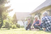 Бабусі і дідусі їдять зібрану полуницю на сонячному подвір'ї — стокове фото