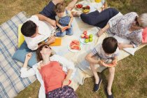 Vista aérea familia multi-generación disfrutando de picnic de verano - foto de stock