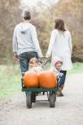 Parents pulling toddler children and pumpkins riding in wagon — Stock Photo