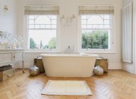 Accueil vitrine intérieure baignoire et parquet — Photo de stock
