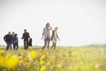 Família de várias gerações andando no prado ensolarado com flores silvestres — Fotografia de Stock
